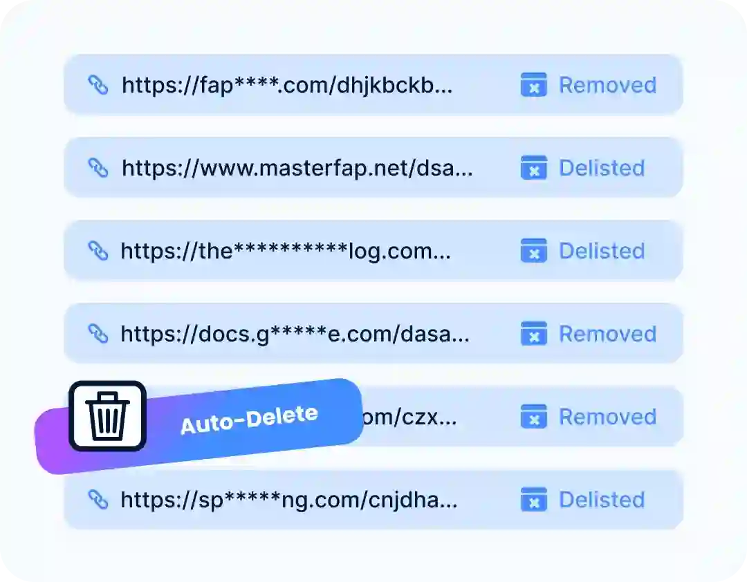 Rapid DMCA Takedown Services